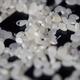 Photo: Alex Cranz/Gizmodo
